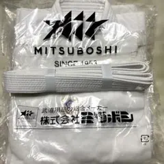 Item thumbnail for item ca8adebd-d04c-4f41-b667-85f3d75b2382