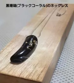 426.世界にひとつだけ！黒珊瑚のネックレス 希少品 一点物