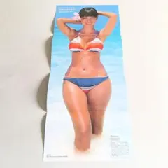 レァな、ポスターだと思います。 ハワイ 日本航空 サーファー・ギャルポスター。 レァな、ポスターだと思います。 ハワイ 日本航空 サーファー・ギャル