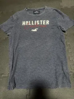 HOLLISTER ホリスター半袖TシャツTシャツ M ネイビー