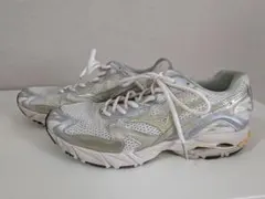 Mizuno ミズノ WAVE RIDER 10 25.5cmのサムネイル
