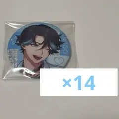 Paradoxlive パラライ VISTY 大和憧吾 サンリオコラボ 缶バッジ