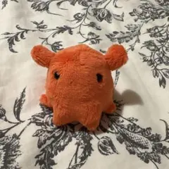 めんだこ　マグネット　マスコット