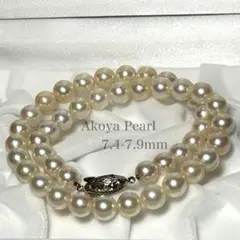 Item thumbnail for item 2e870c13-4bc5-4475-9020-99801f042d0b