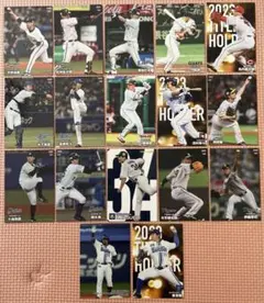 シ*カ様 プロ野球チップス2024