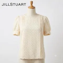 美品 ジルスチュアート シフォン シアー ブラウス パフスリーブ アイボリー Sのサムネイル