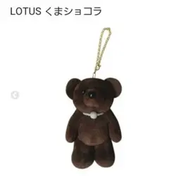 LOTUS　くまショコラ　ぬいぐるみ　三宅健