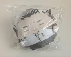 ハイキュー!! 木兎光太郎 くじメイト C賞 ふわコロりん Мsize