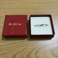 Item thumbnail for item 540950cb-66cf-4d35-947b-7885a94d0e53