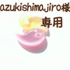azukishimajiro様専用オーダーページ
