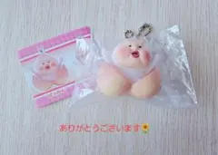 こびとづかん カクレモモジリコレクション　ぱっかん