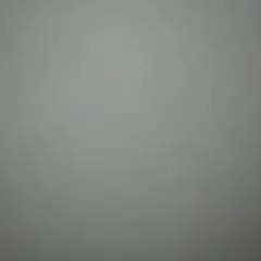 れんこん様専用（取引用）