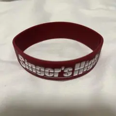 シンガーズハイ ラバーバンド セット 71el3R+im9L._AC_UF350,