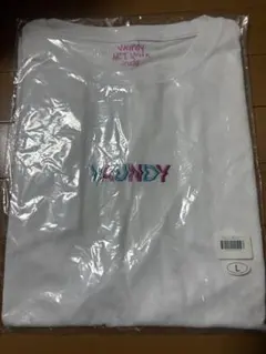 Vaundy Bicolor Logo T-Shirts 青×ピンク Lサイズ