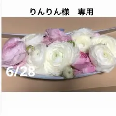 りんりん様　専用