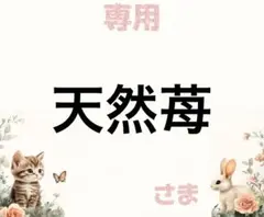 専用