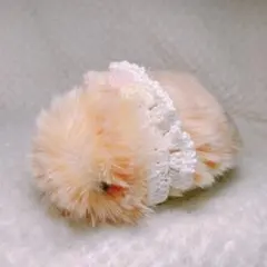 masa_07様 リクエスト 2点 まとめ商品