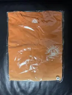 サザンオールスターズ45周年 Tシャツ XLサイズ 未開封品 桑田佳祐