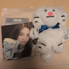 ILLIT キーリング 1周年記念 イロハ ぬいぐるみ - メルカリ