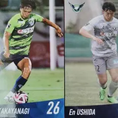 Item thumbnail for item dc32de4c-fe1a-46e4-b0b6-14508901ba37