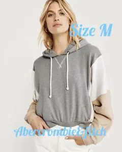 新品 正規品 アバクロンビー&フィッチ カラーブロック フーディ M