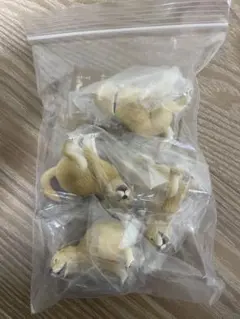 ゴールデンレトリバー カプセルトイ