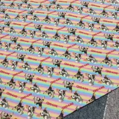 グレムリン生地　ポリ綿　ハギレ