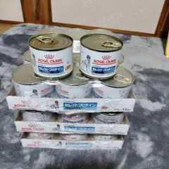 Item thumbnail for item 1b76f660-74aa-439e-bc46-eba5be23744a