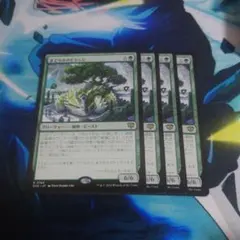 まどろみのトラッジ 4枚 ③のサムネイル