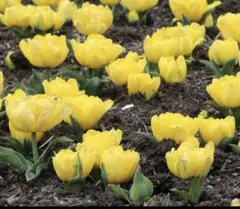 quen様 リクエスト 3点 まとめ商品