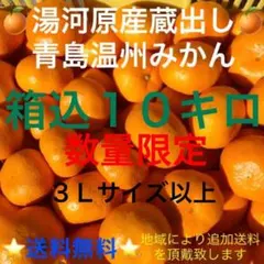 神奈川県湯河原産⑩産直 晩生 蔵出し 青島温州みかん 3Lサイズ以上10kg箱込