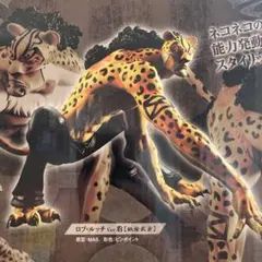 POP excellentモデル　ロブルッチ　紙絵武身