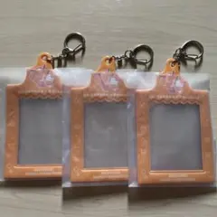 CRAZY RACCOONありさかセット