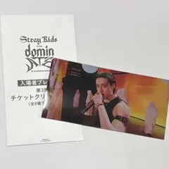 Stray Kids dominATE 入場特典 バンチャン チケットホルダー