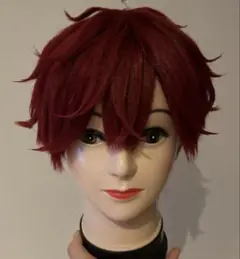 天城一彩 ウィッグ あんスタ あんさんぶるスターズ 天城一彩 ALKALOID コスプレ