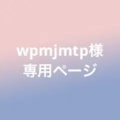 wpmjmtp様 リクエスト 3点 まとめ商品