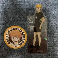 マツモトキヨシ　日向翔陽 宮侑