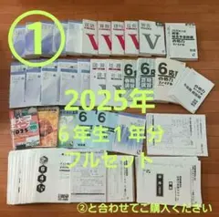①【２個口発送】日能研　６年生　全国公開模試　育成　実践テスト　各種テキスト他