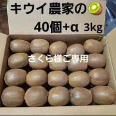 さくら様ご専用　キウイ農家のキウイフルーツ　ヘイワード　3kg　約46個