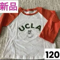 子供Tシャツ 120サイズ 新品 オレンジ/ホワイト　クマ　ロングTシャツ