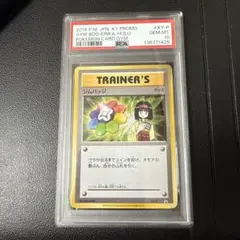 ジムバッジ　エリカ　#xy-p PSA10 2026年最新】ジムバッジ エリカの人気アイテム - メルカリ