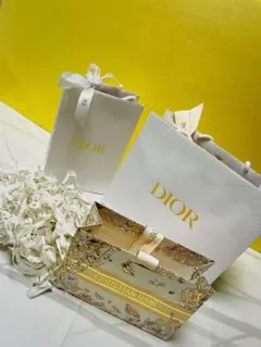DIOR ショッパー&緩衝材