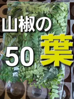 山椒　山椒の葉　野菜　50枚～のサムネイル