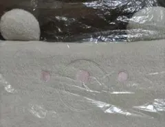 Item thumbnail for item dd23c0d7-f6e4-4582-beab-71be74c3aa85