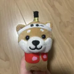 柴犬 ぬいぐるみキーホルダー 桃太郎