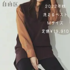 自由区 洗えるレーヨンストレッチベスト ダークブラウン オンワード樫山
