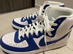 NIKE ターミネーターHIGH ゲームロイヤル
