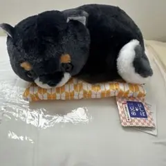 豆しば三兄弟　お座布でくつろぎ　お座布団　犬 豆ジロー