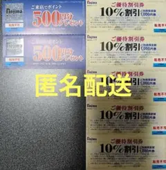 ノジマ 株主優待券10％割引券5枚と来店ポイント券1,000円分 匿名配送