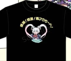 銀魂 PUI PUI モルカー かもしれないTシャツ 桂 - メルカリ